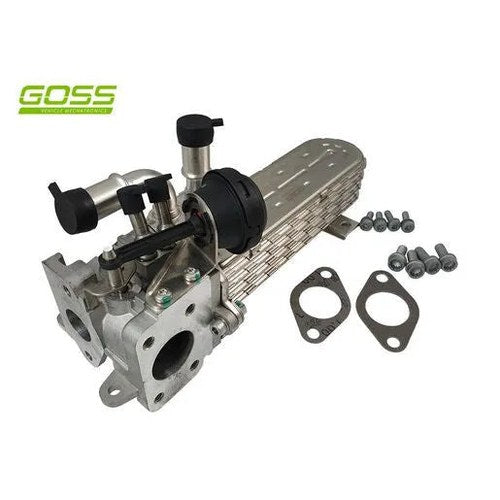 Goss EGR Valve and Cooler Assembly for Audi | EV163