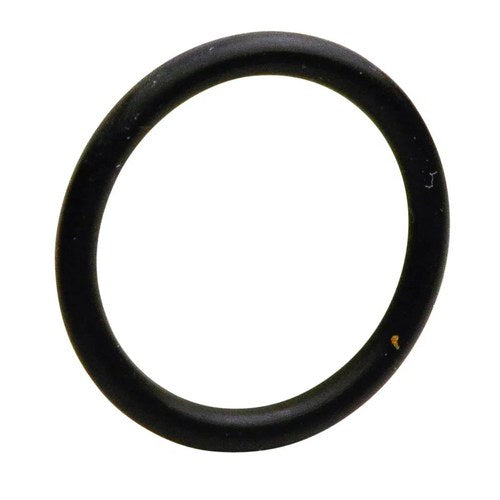 Goss Injector O-Ring Seal | S5091-12