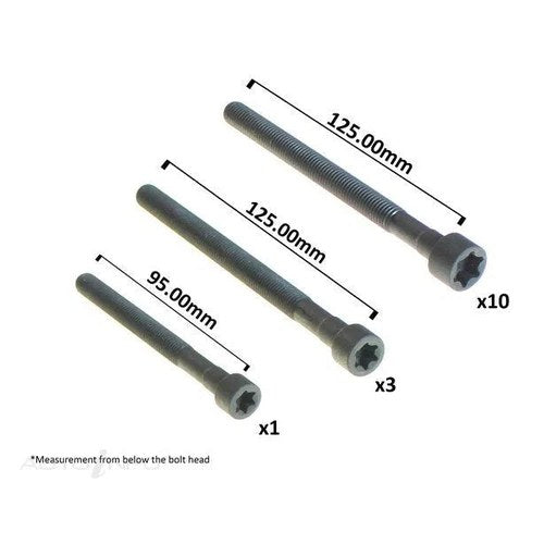 Permaseal Head Bolt Set for BMW N52 | HBS304