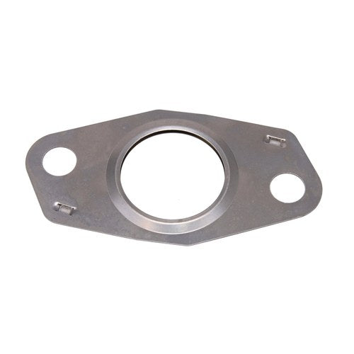 EGR Valve Gasket | GSK-174