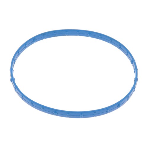 EGR Valve Gasket | GSK-303