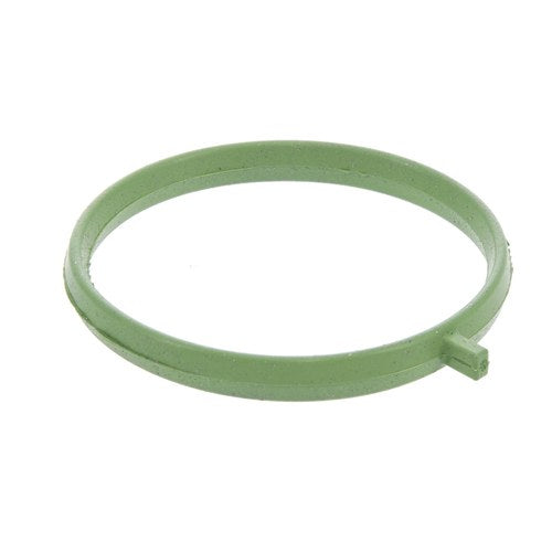 EGR Valve Gasket | GSK-304