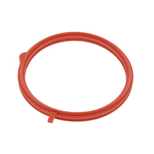 EGR Valve Gasket | GSK-317