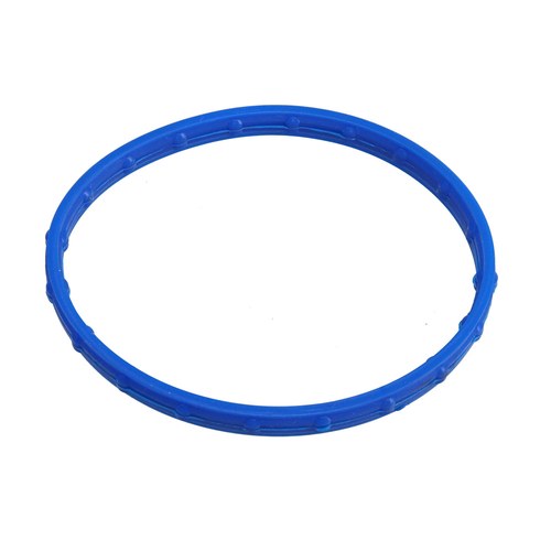 EGR Valve Gasket | GSK-320