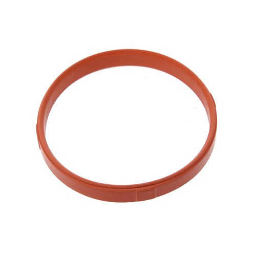 EGR Valve Gasket | GSK-418
