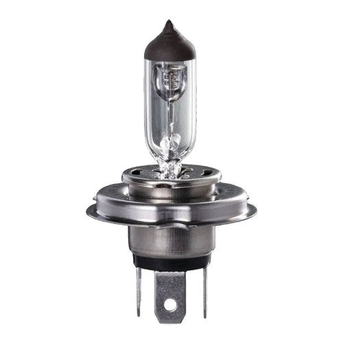 Ignite H4 Long Life Halogen Globe 12V 60/55W | IGL2140