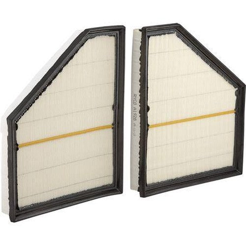 Ryco Air Filter for BMW X5 | A1928K