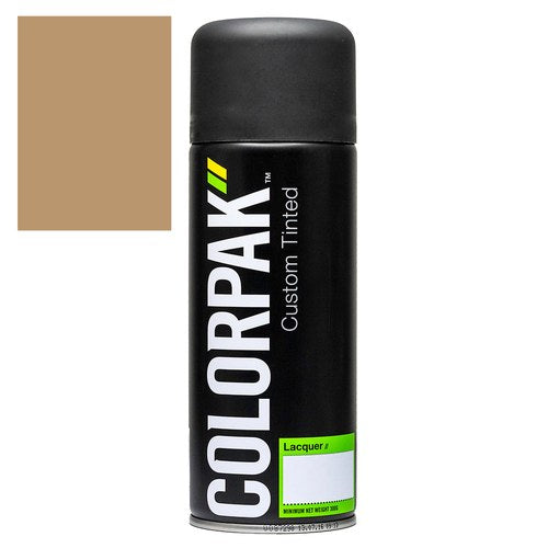 Colorpak Coloursteel Aerosol Paint Lichen | CPS518