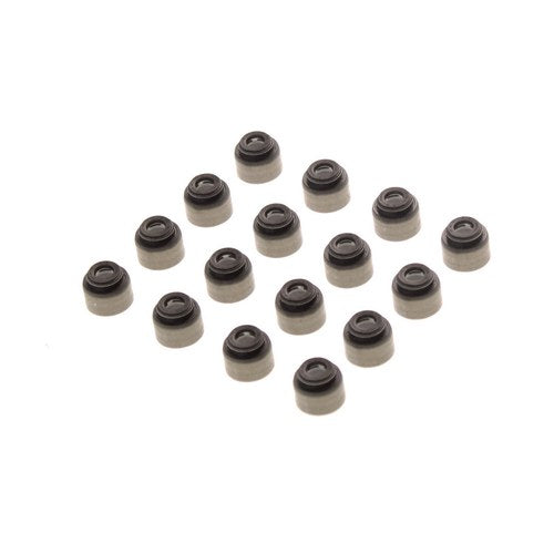 Permaseal Valve Stem Seal Set for Mitsubishi Airtrek 4G69 | VSS0199-16