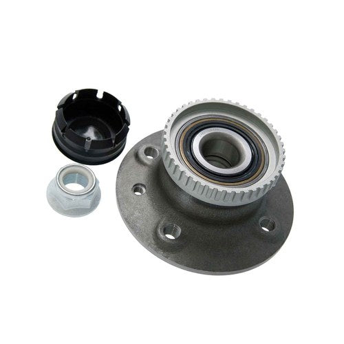 Febest Auto Parts Rear Wheel Hub – Renault | 2482-SIA44R