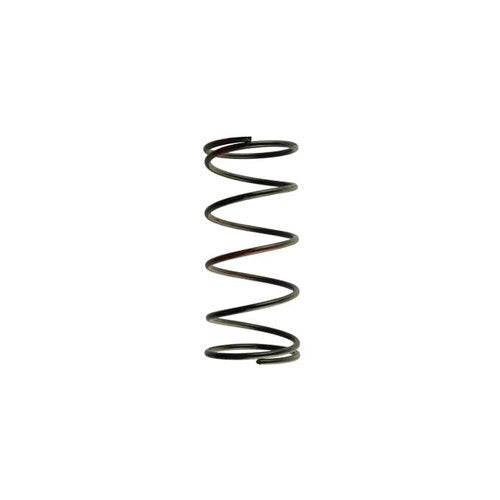 Turbosmart Wastegate Spring - SCR TST0249