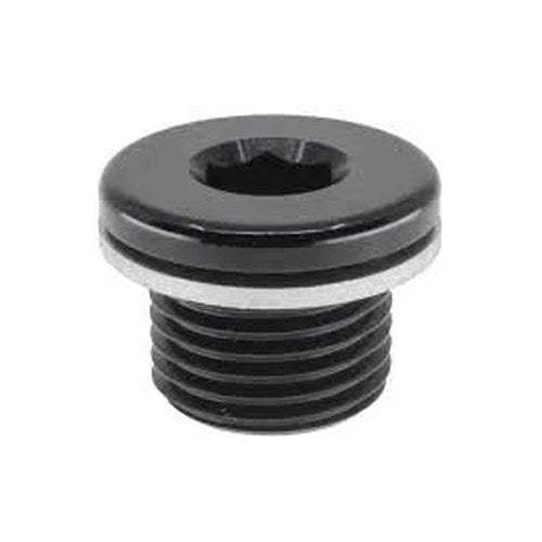 Raceworks AN In-Hex O-Ring Plug | RWF-814-M18-1BK