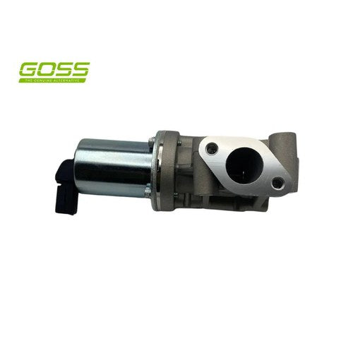 Goss EGR Valve for Hyundai | EV150
