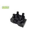Goss Ignition Coil | C248