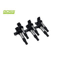 Goss Ignition Coil Kit for Holden VZ | C431M