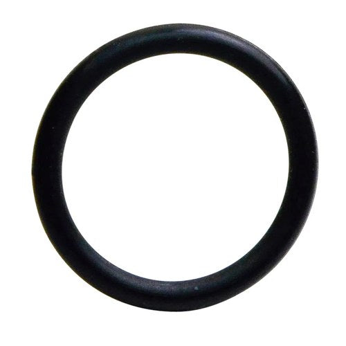Goss Injector O-Ring Seal, 12 | S5053-12