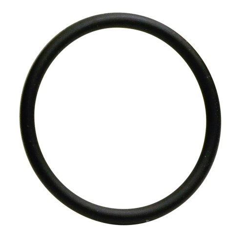 Goss Injector O-Ring Seal | S5096-12