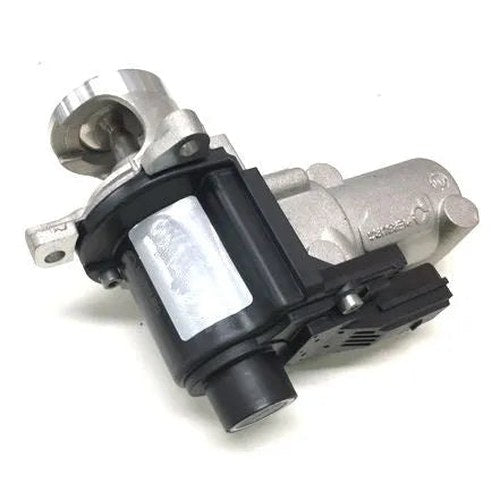 Goss OEM EGR Valve for Audi and Volkswagen | EV137GEN