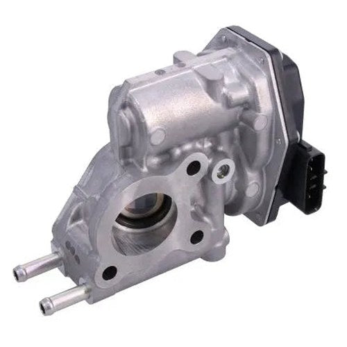 Exhaust Gas Recirculation Valve | EGR-143