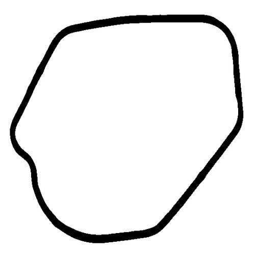 Permaseal Oil Pump-to-Cover Gasket for Nissan TD | LA487