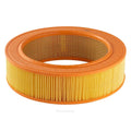 Ryco Air Filter | A1669
