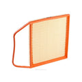 Ryco Air Filter | A1787
