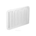 Ryco Air Filter | A1987