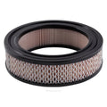 Ryco Air Filter | A24