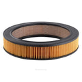 Ryco Air Filter | A329