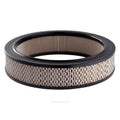 Ryco Air Filter | A352