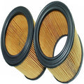 Ryco Air Filter | A406