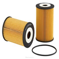 Ryco Oil Filter | R2593P