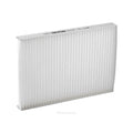 Ryco Cabin Air Filter | RCA139P