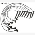 Auto Agencies Ignition Lead Set for Ford F Series V8 | OPT86915