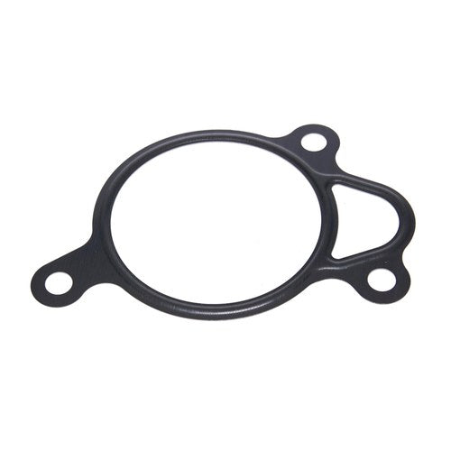 EGR Valve Gasket | GSK-060
