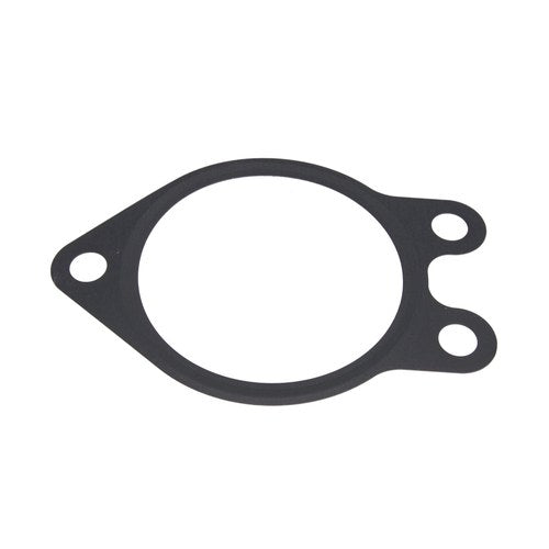 EGR Valve Gasket | GSK-146