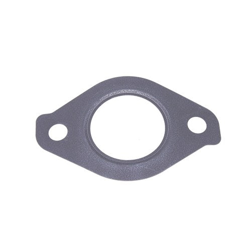 EGR Valve Gasket | GSK-148
