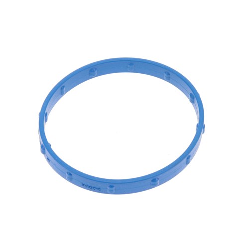 EGR Valve Gasket | GSK-310