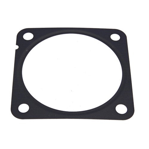 EGR Valve Gasket | GSK-311