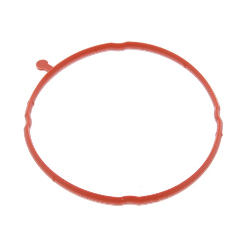 EGR Valve Gasket | GSK-313