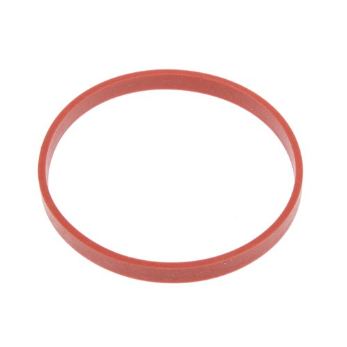EGR Valve Gasket | GSK-316