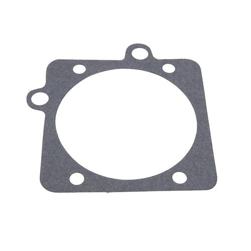 EGR Valve Gasket | GSK-319