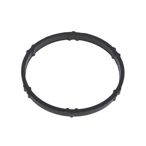 EGR Valve Gasket | GSK-399