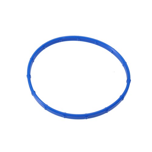 EGR Valve Gasket | GSK-430