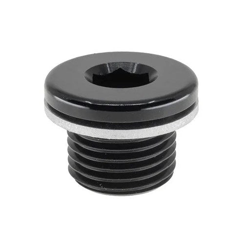 Raceworks AN In-Hex O-Ring Plug M12 x 1.5 | RWF-814-M12-1BK