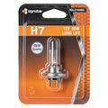 Ignite H7 Long Life Halogen Globe 12V 55W | IGL2160BL