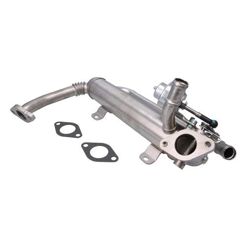 Exhaust Gas Recirculation Valve, part EGR-251