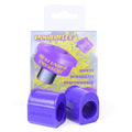Powerflex Suspension – Renault | PFF60-202-28__RENA_CLIO