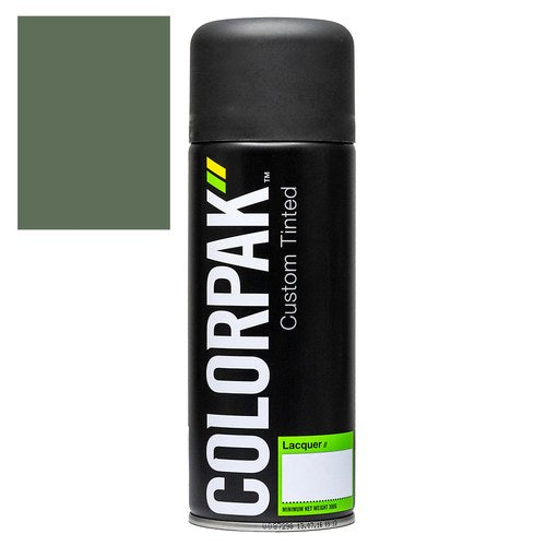 Colorpak Coloursteel Aerosol Paint Rivergum | CPS514