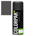 Colorpak Coloursteel Aerosol Paint Ternstyle | CPS524